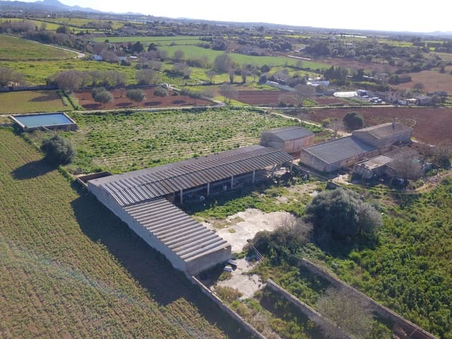 Quinta/Casa Rural para venda em Manacor - 600 000 € (Ref: 9654254)