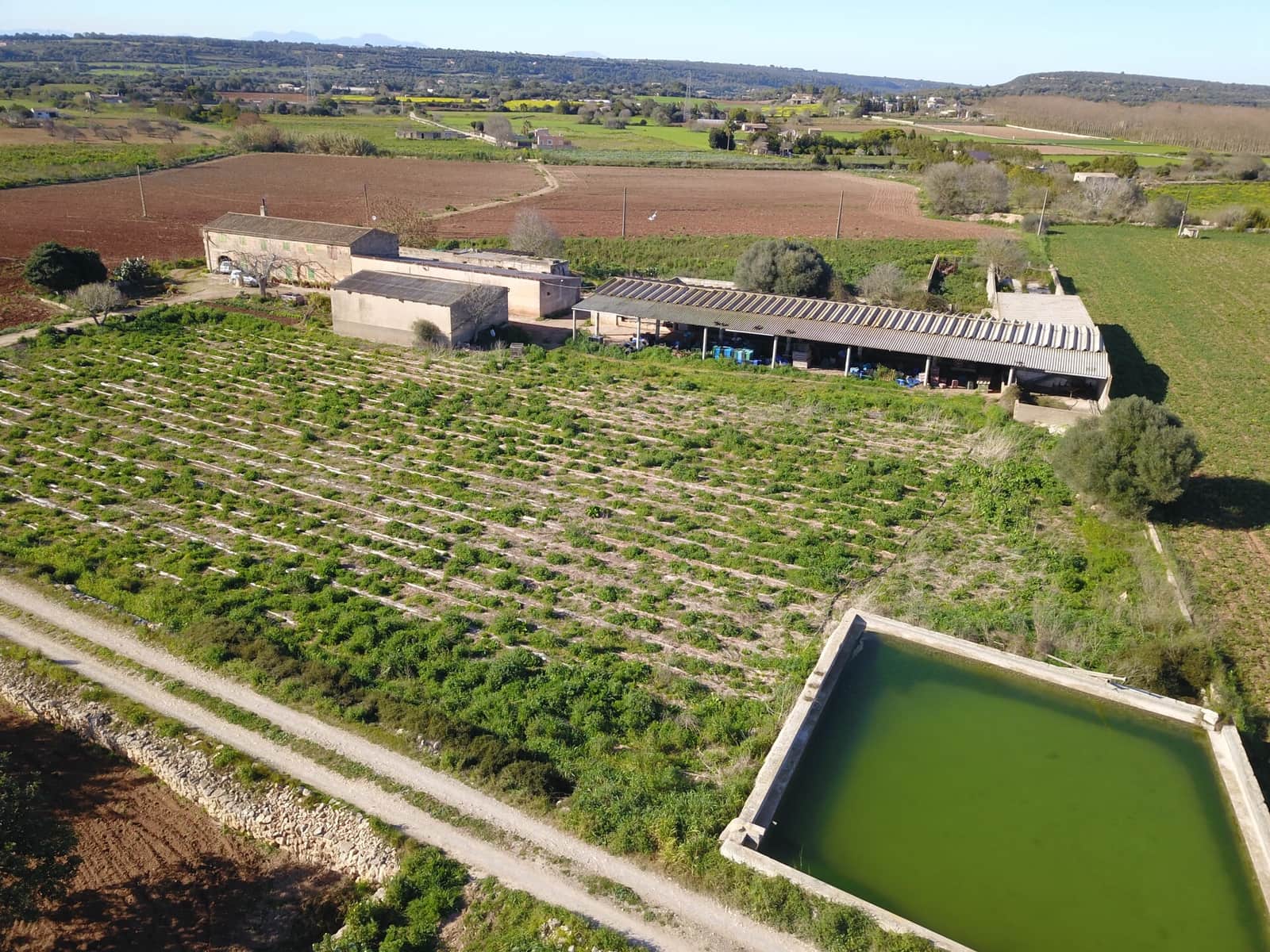 Quinta/Casa Rural para venda em Manacor - 600 000 € (Ref: 9654254)