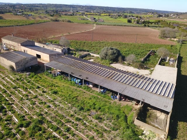 Quinta/Casa Rural para venda em Manacor - 600 000 € (Ref: 9654254)