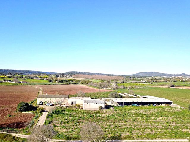 3 soverom Finca/Herregård til salgs i Manacor - € 600 000 (Ref: 9654254)