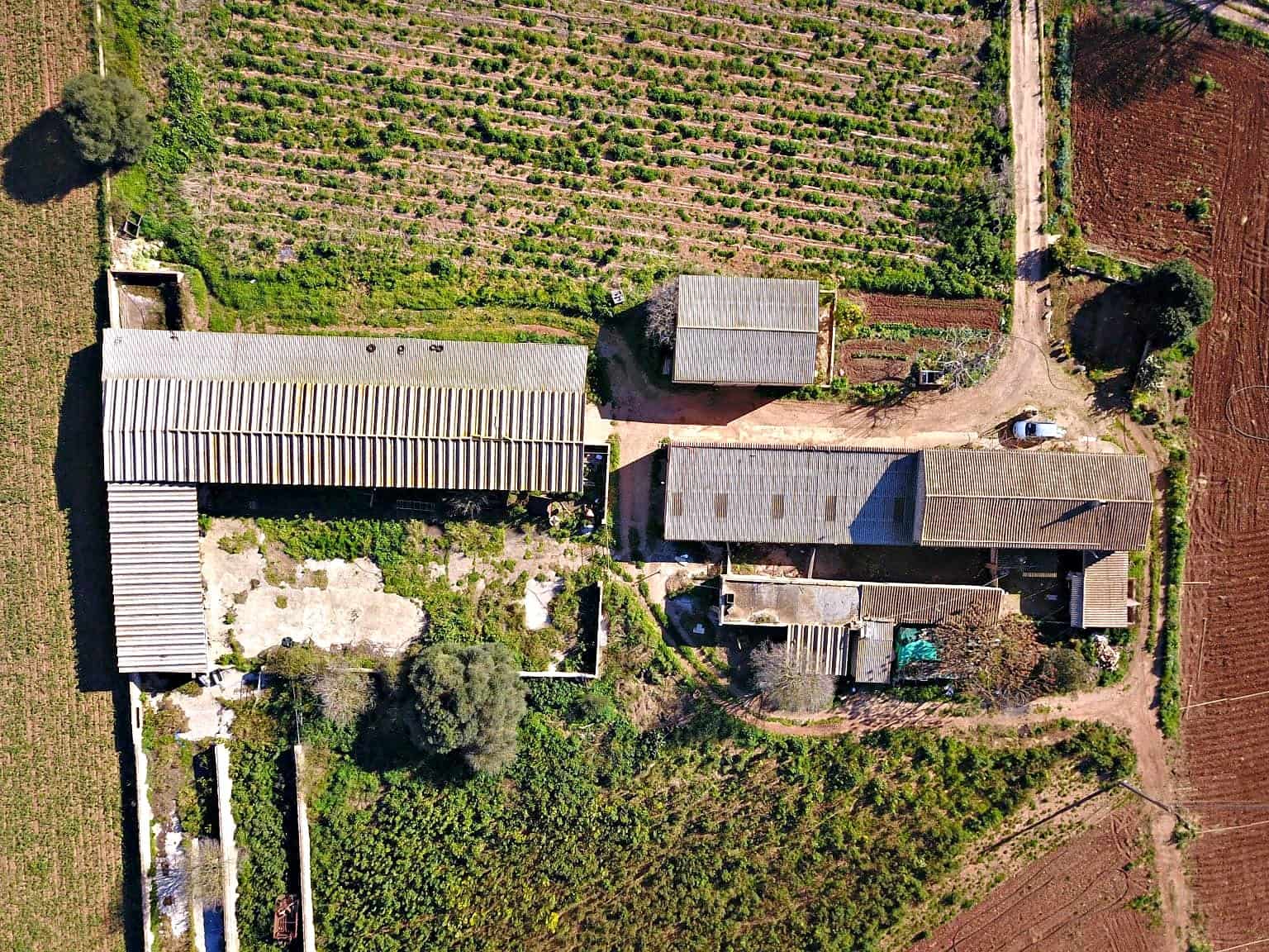 Finca/Casa Rural de 3 habitaciones en Manacor en venta - 600.000 € (Ref: 9654254)