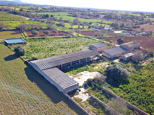 3 soverom Finca/Herregård til salgs i Manacor - € 600 000 (Ref: 9654254)