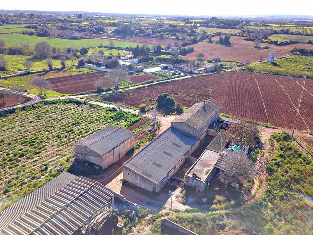 3 soverom Finca/Herregård til salgs i Manacor - € 600 000 (Ref: 9654254)