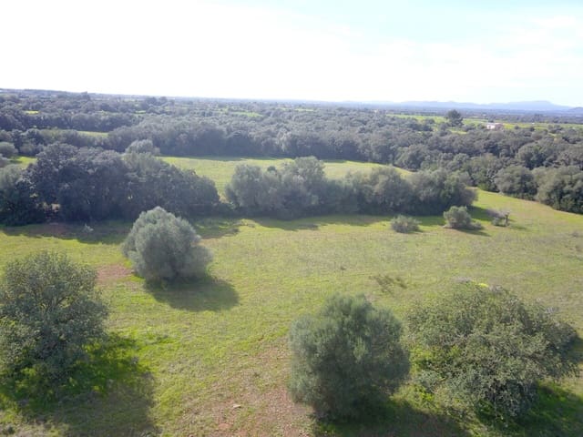 Terreno/Finca Rústica en Felanitx en venta - 195.000 € (Ref: 9657835)