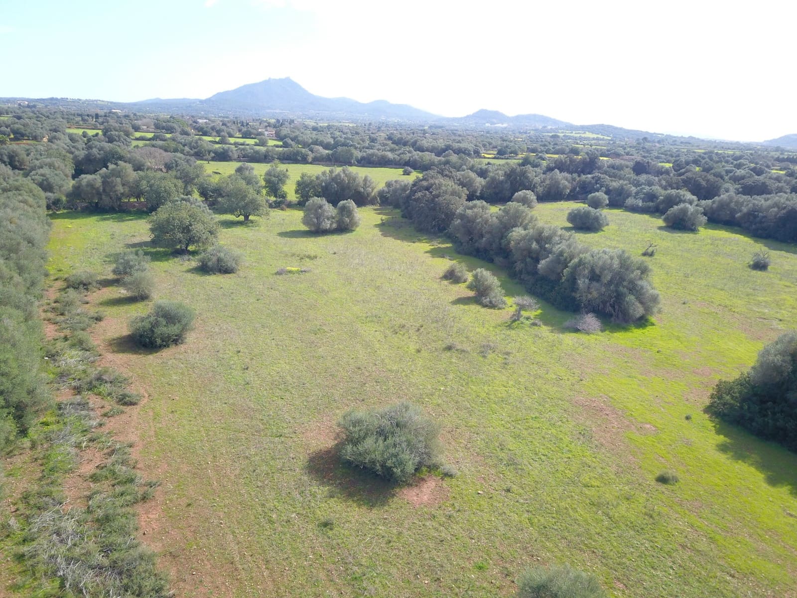 Mark till salu i Felanitx - 195 000 € (Ref: 9657835)