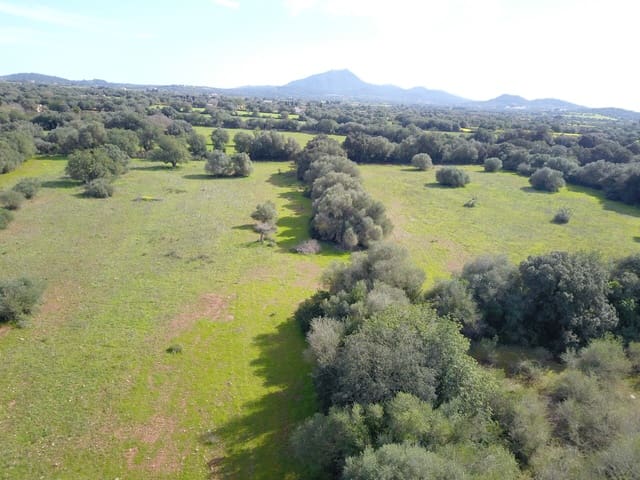 Terreno/Finca Rústica en Felanitx en venta - 195.000 € (Ref: 9657835)