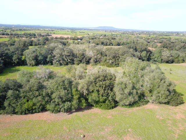 Terreno/Finca Rústica en Felanitx en venta - 195.000 € (Ref: 9657835)