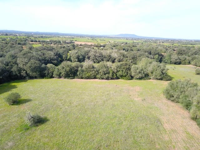 Terreno/Finca Rústica en Felanitx en venta - 195.000 € (Ref: 9657835)