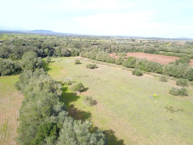 Terreno/Finca Rústica en Felanitx en venta - 195.000 € (Ref: 9657835)