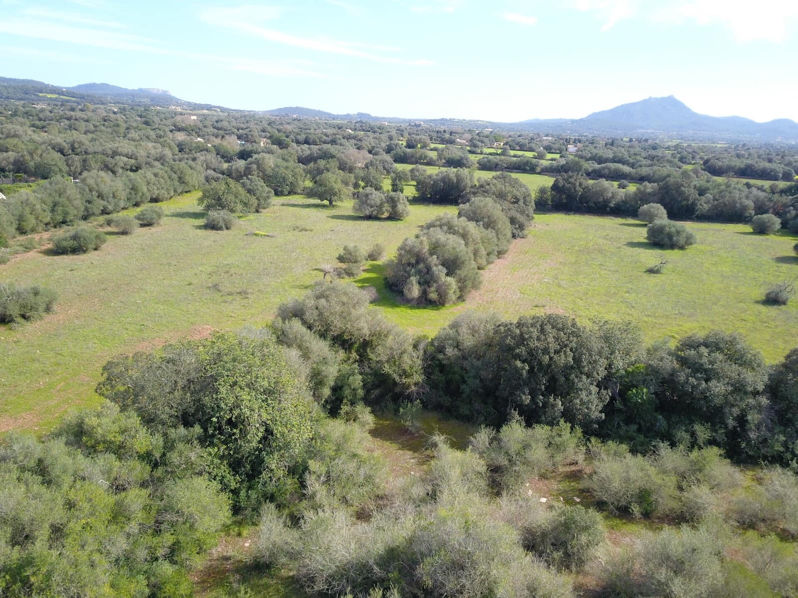 Mark till salu i Felanitx - 195 000 € (Ref: 9657835)