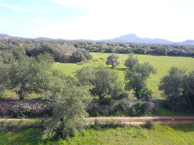 Terreno/Finca Rústica en Felanitx en venta - 195.000 € (Ref: 9657835)