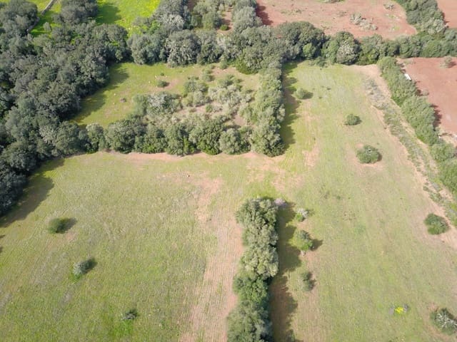 Terreno/Finca Rústica en Felanitx en venta - 195.000 € (Ref: 9657835)