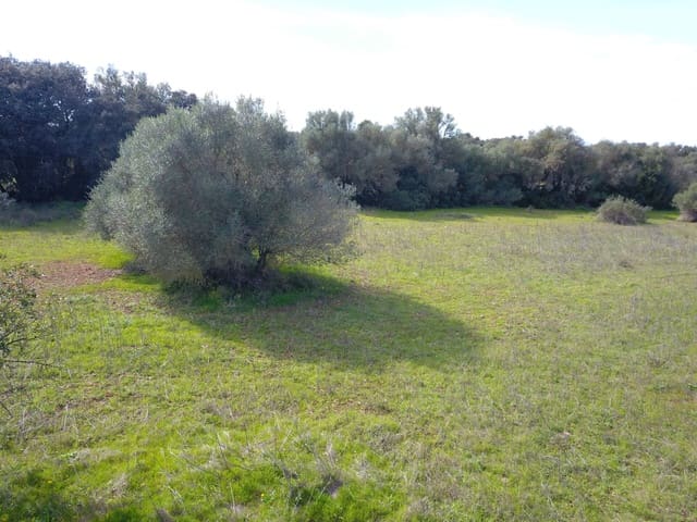 Terreno/Finca Rústica en Felanitx en venta - 195.000 € (Ref: 9657835)