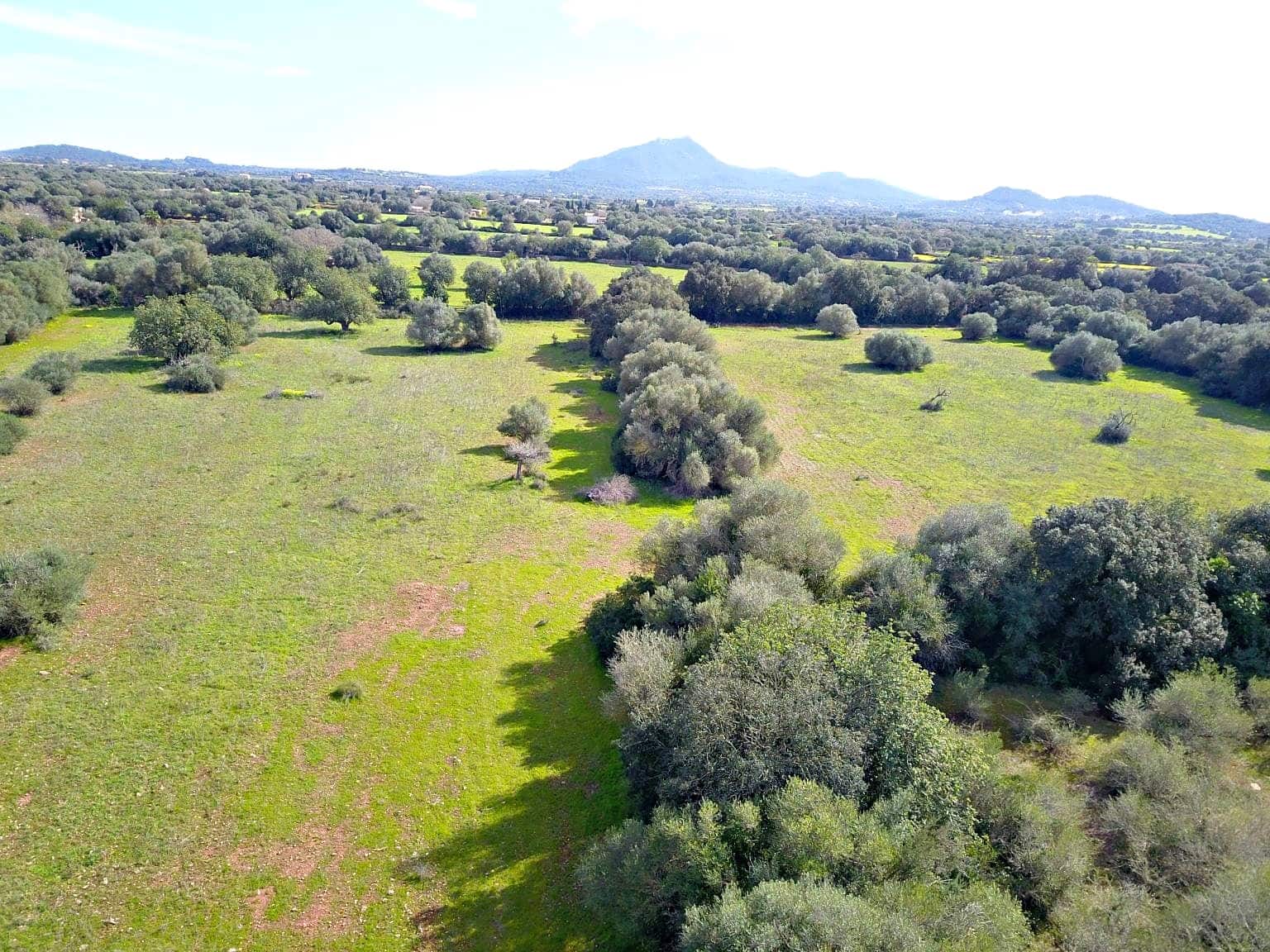 Building Plot for sale in Felanitx - € 195,000 (Ref: 9657835)