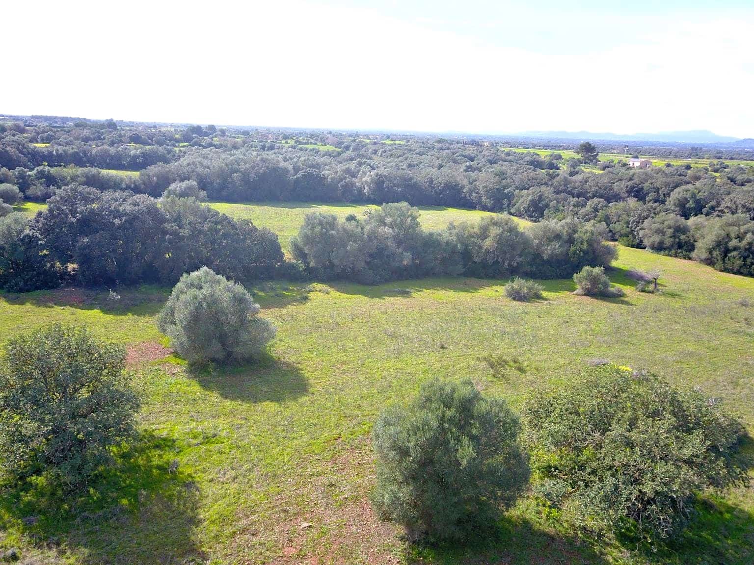 Building Plot for sale in Felanitx - € 195,000 (Ref: 9657835)