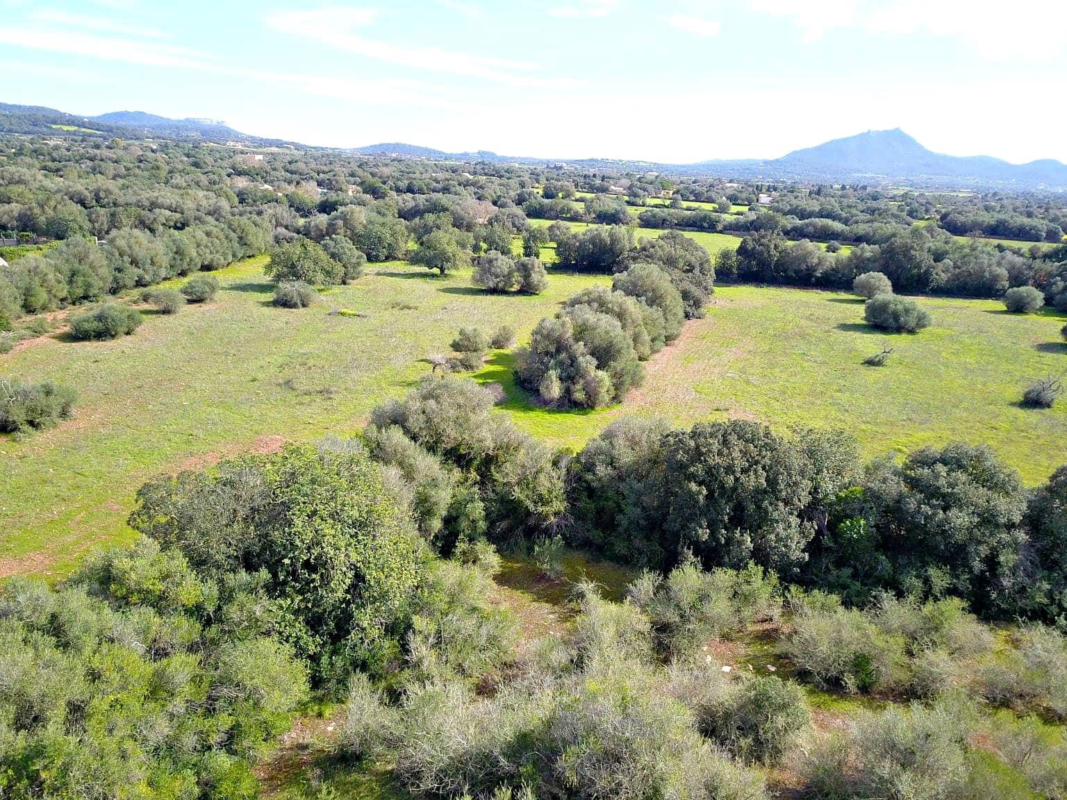 Building Plot for sale in Felanitx - € 195,000 (Ref: 9657835)
