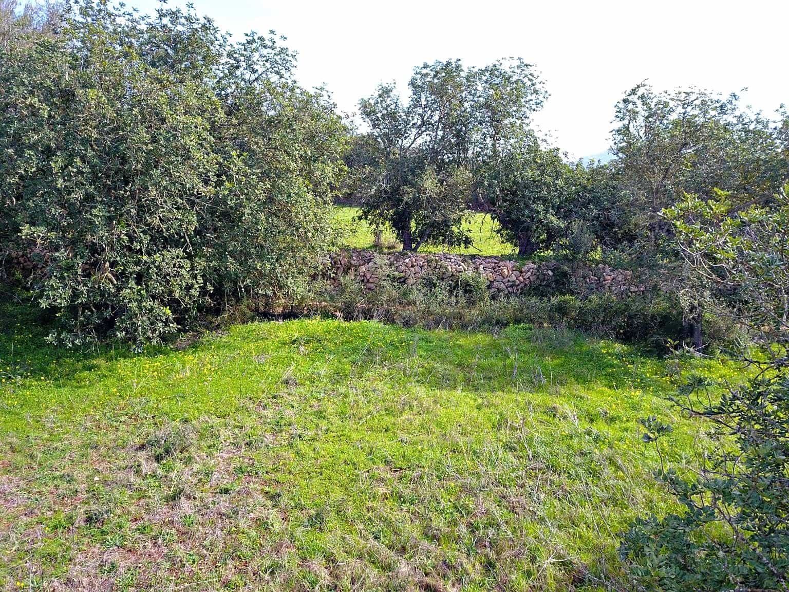 Building Plot for sale in Felanitx - € 195,000 (Ref: 9657835)