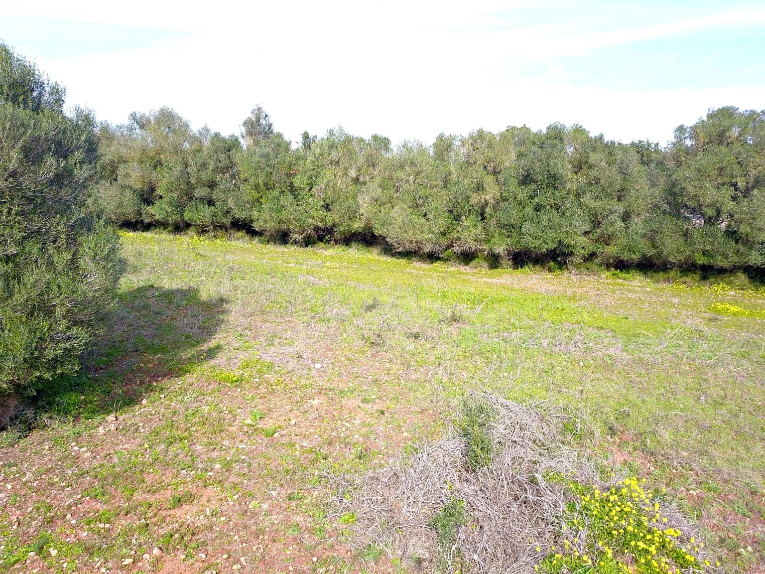 Building Plot for sale in Felanitx - € 195,000 (Ref: 9657835)