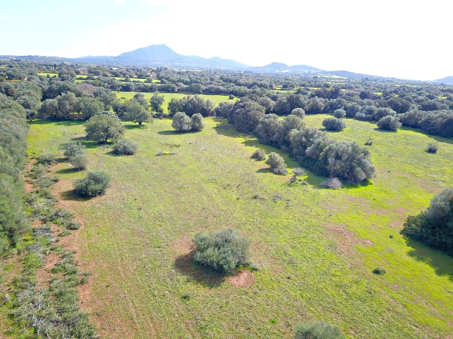 Building Plot for sale in Felanitx - € 195,000 (Ref: 9657835)