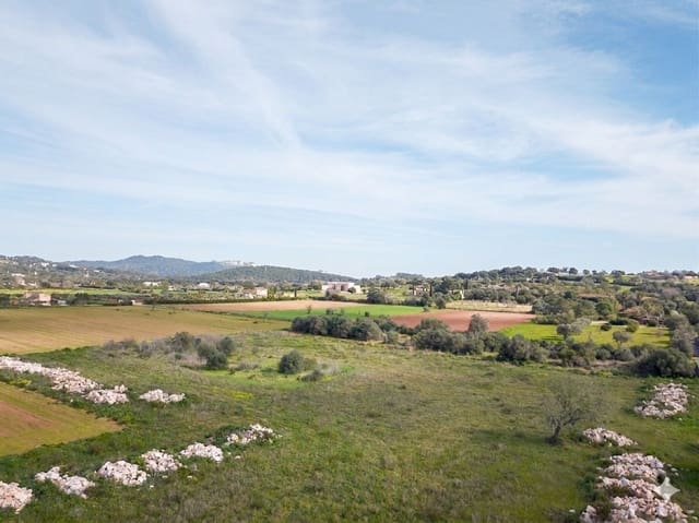 Grond te koop in Felanitx - € 318.000 (Ref: 9723567)