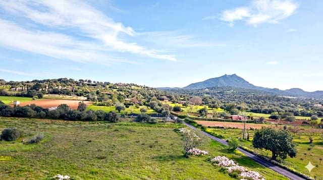 Terrain à Bâtir à vendre à Felanitx - 318 000 € (Ref: 9723567)
