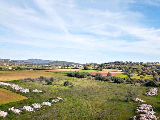 Terrain à Bâtir à vendre à Felanitx - 318 000 € (Ref: 9723567)