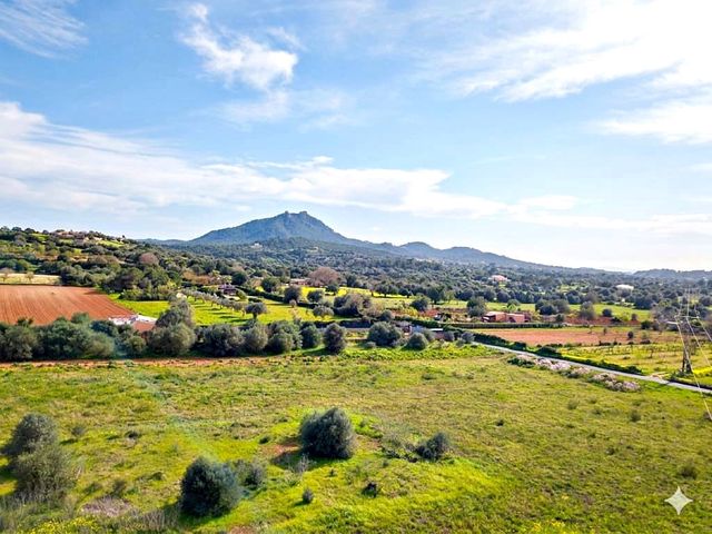 Terrain à Bâtir à vendre à Felanitx - 318 000 € (Ref: 9723567)