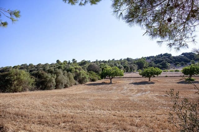 3 sovrum Finca/Hus på landet till salu i Manacor - 480 000 € (Ref: 9753386)