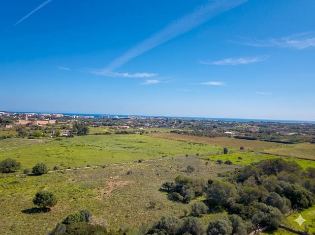 Grunde uden byggetilladelser til salg i Portocristo / Port de Manacor, Manacor - € 450.000 (Ref: 9771034)