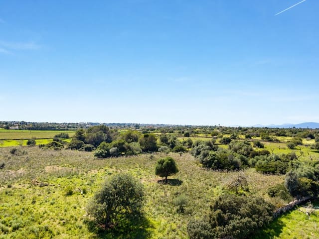 Grunde uden byggetilladelser til salg i Portocristo / Port de Manacor, Manacor - € 450.000 (Ref: 9771034)