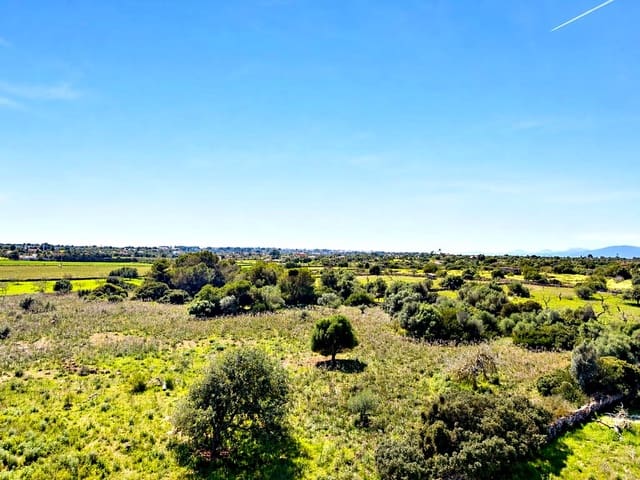 Tomt till salu i Portocristo / Port de Manacor, Manacor - 450 000 € (Ref: 9771034)