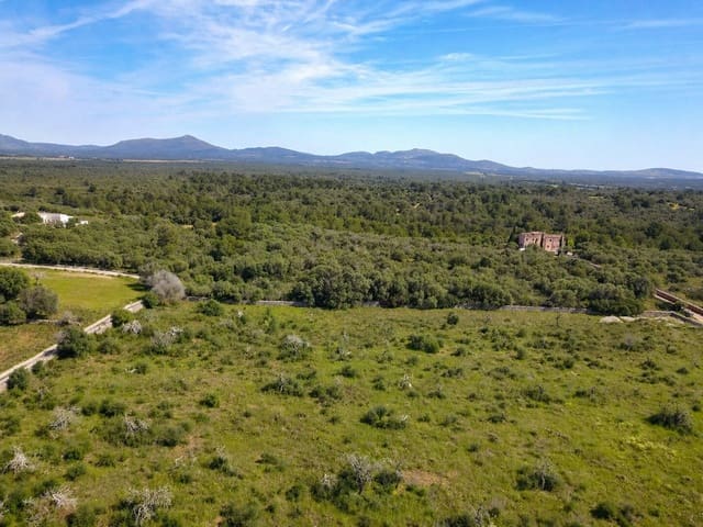 Grond te koop in Santa Margalida - € 480.000 (Ref: 9789474)