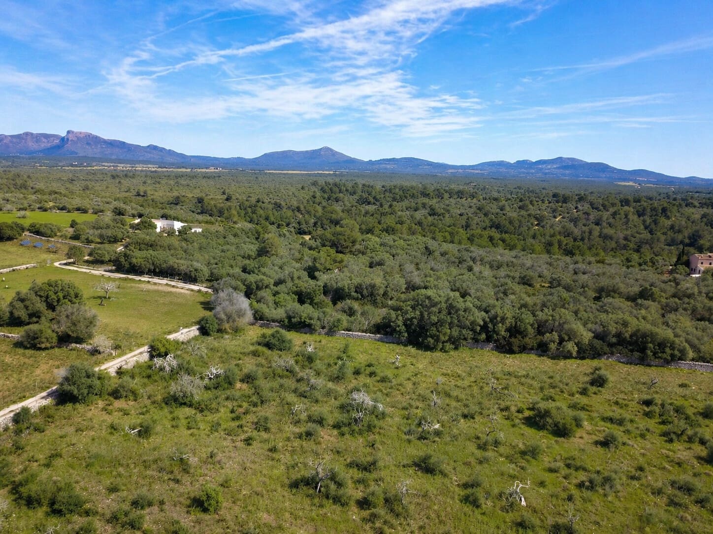 Rakentamaton maa myytävänä paikassa Santa Margalida - 480 000 € (Ref: 9789474)