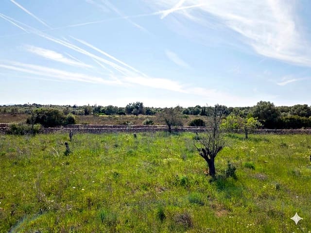 Tomt till salu i Santa Margalida - 480 000 € (Ref: 9789474)