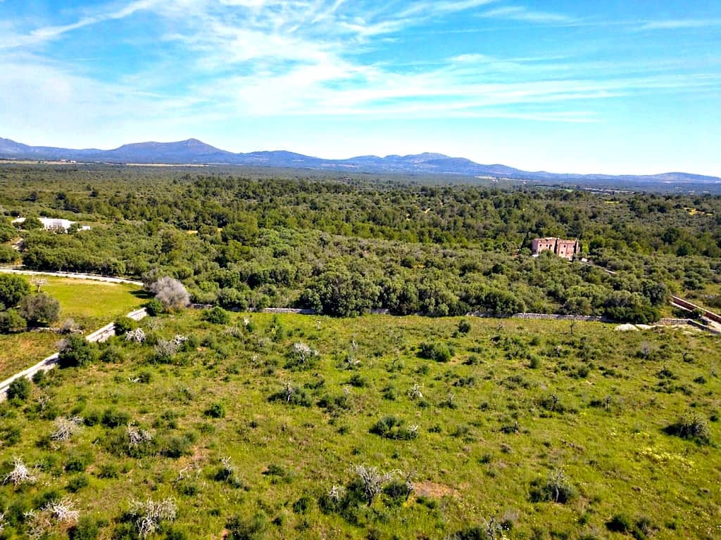 Building Plot for sale in Santa Margalida - € 480,000 (Ref: 9789474)