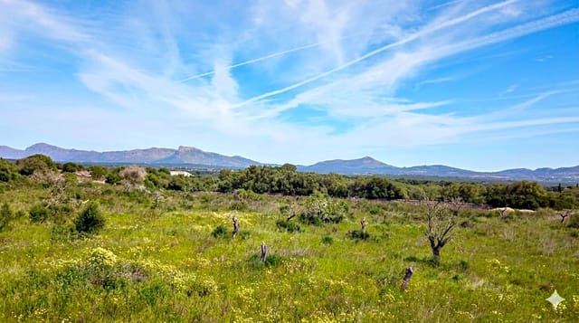 Tomt till salu i Santa Margalida - 480 000 € (Ref: 9789474)