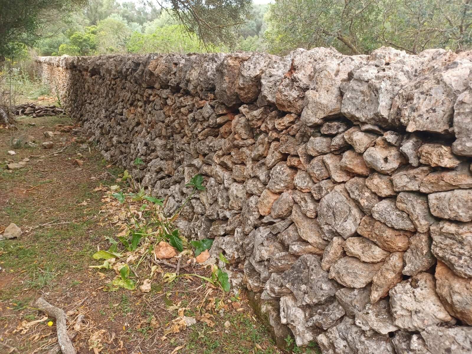 Mark till salu i Felanitx - 549 000 € (Ref: 9789817)