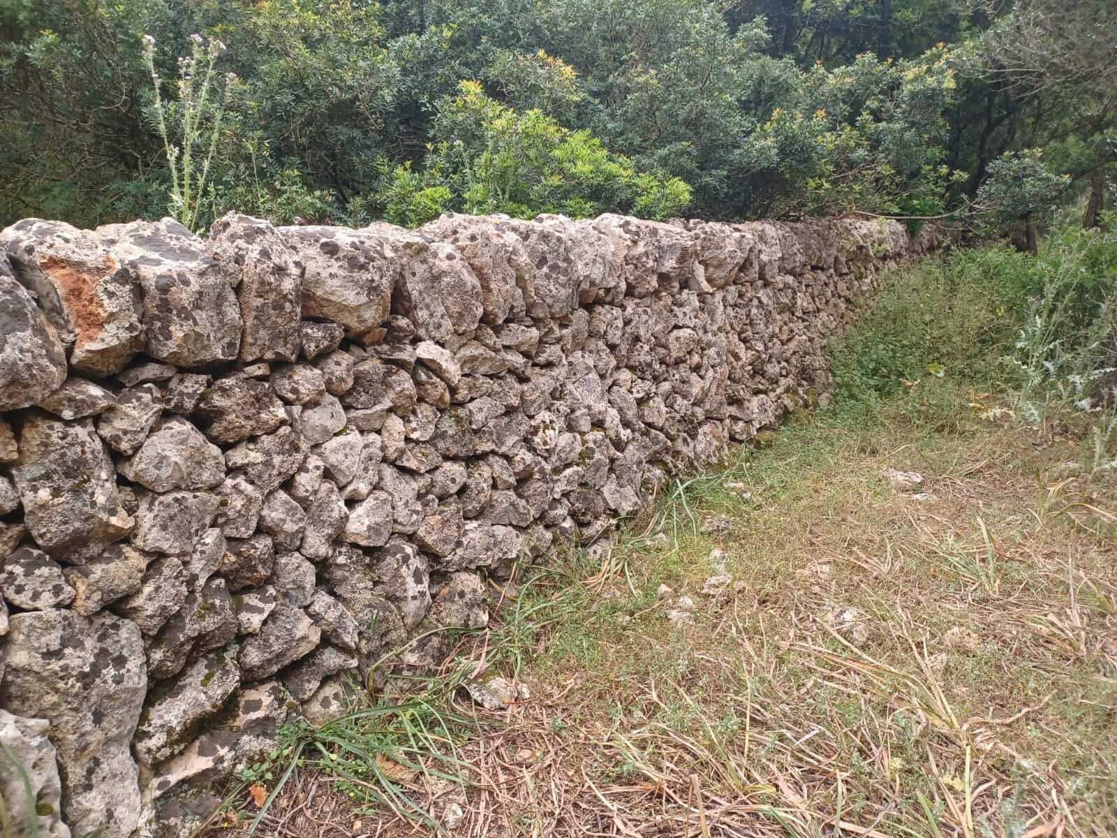 Mark till salu i Felanitx - 549 000 € (Ref: 9789817)