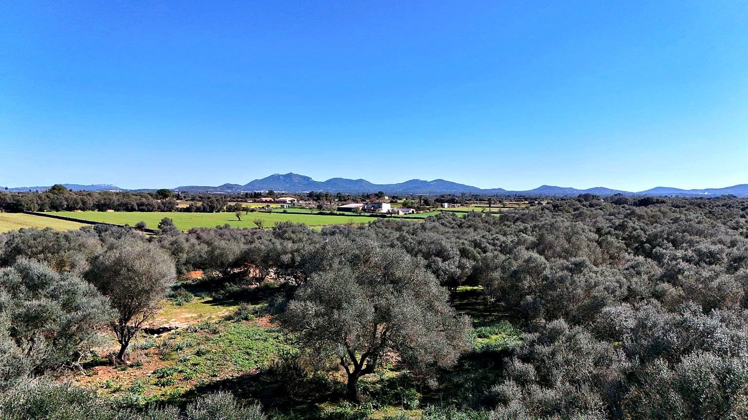 Building Plot for sale in Felanitx - € 480,000 (Ref: 9789817)