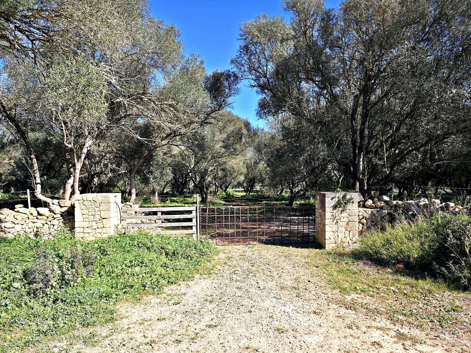 Building Plot for sale in Felanitx - € 480,000 (Ref: 9789817)