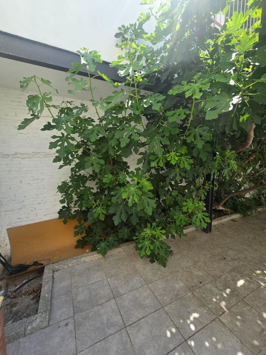 4 bedroom Apartment for rent in El Masnou - € 1,490 (Ref: 9944188)