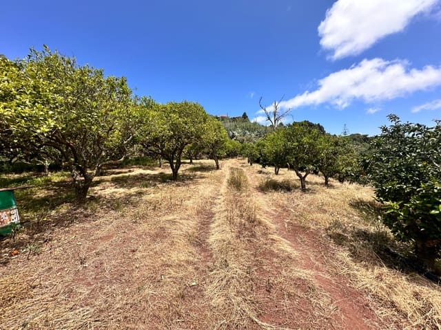 Terreno Não Urbanizado para venda em Teror - 75 000 € (Ref: 9049030)