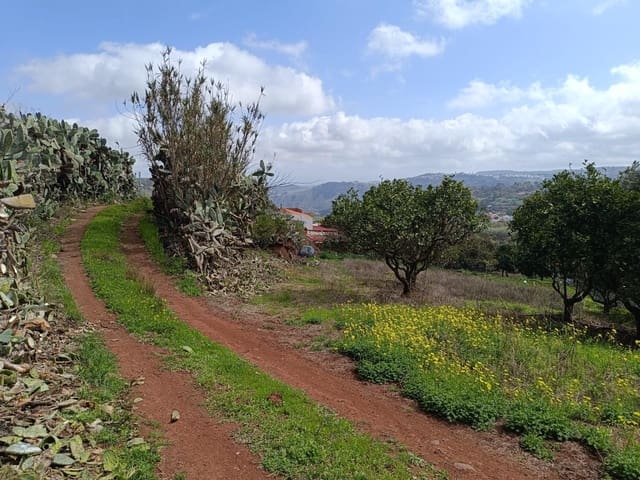 Terreno Não Urbanizado para venda em Teror - 75 000 € (Ref: 9049030)