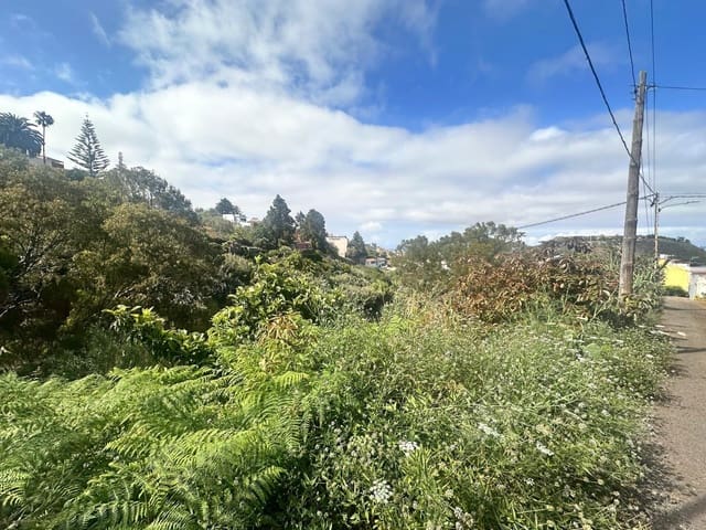 Building Plot for sale in Teror - € 160,000 (Ref: 9068929)