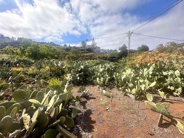 Building Plot for sale in Teror - € 160,000 (Ref: 9068929)