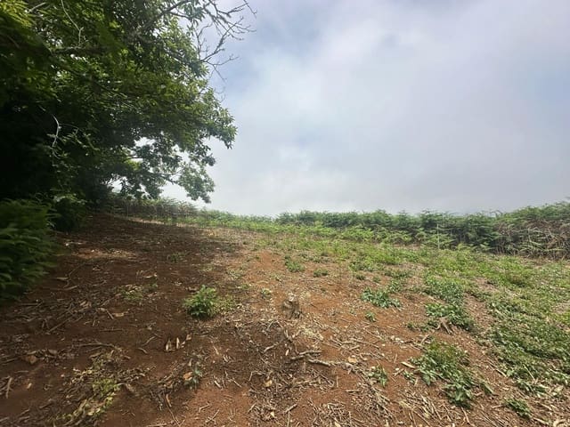 Grunde uden byggetilladelser til salg i Teror - € 25.000 (Ref: 9104778)