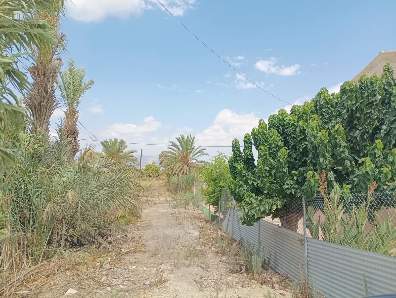 Finca/Casa Rural de 2 habitaciones en Crevillente / Crevillent en venta con piscina garaje - 415.000 € (Ref: 10016964)