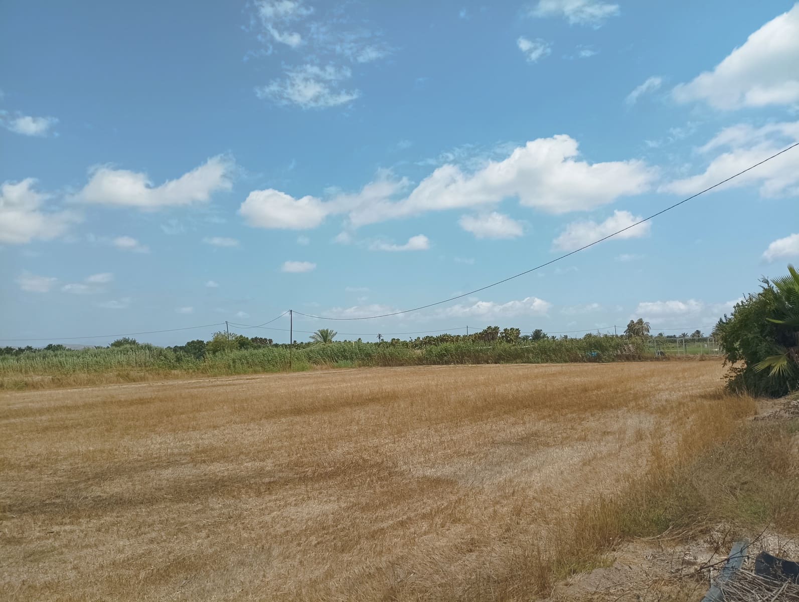 Finca/Casa Rural de 2 habitaciones en Crevillente / Crevillent en venta con piscina garaje - 415.000 € (Ref: 10016964)