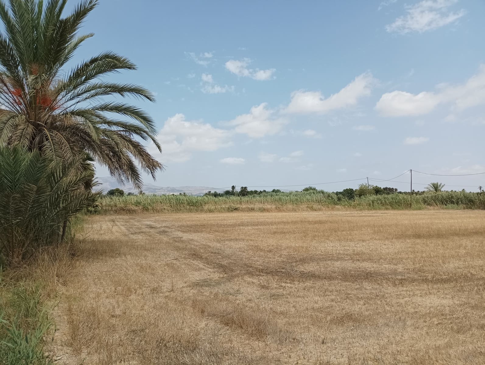 Finca/Casa Rural de 2 habitaciones en Crevillente / Crevillent en venta con piscina garaje - 415.000 € (Ref: 10016964)