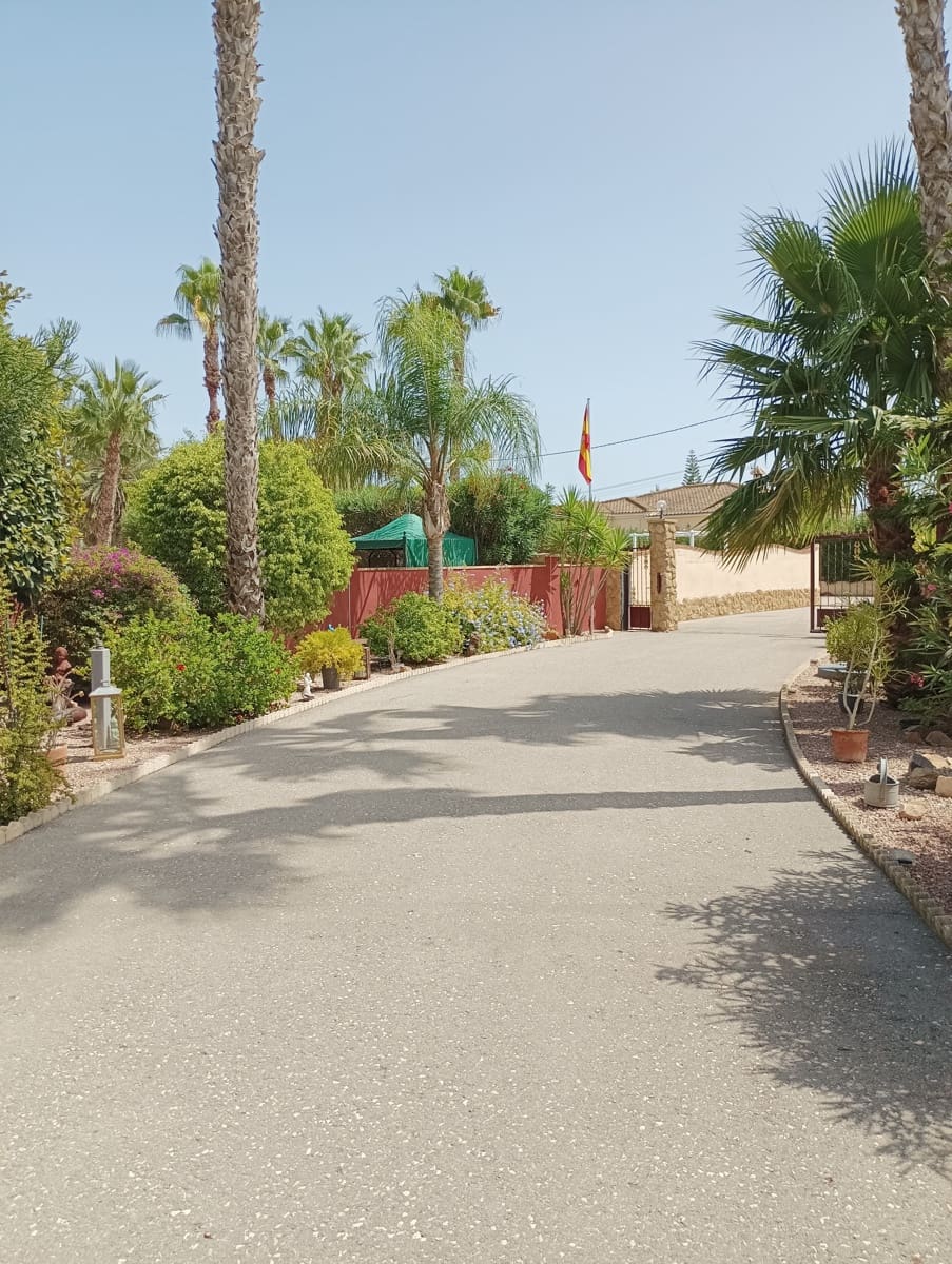 3 chambre Villa/Maison à vendre à Catral avec piscine garage - 425 000 € (Ref: 10100658)